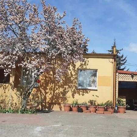 דירה Magnolia I *